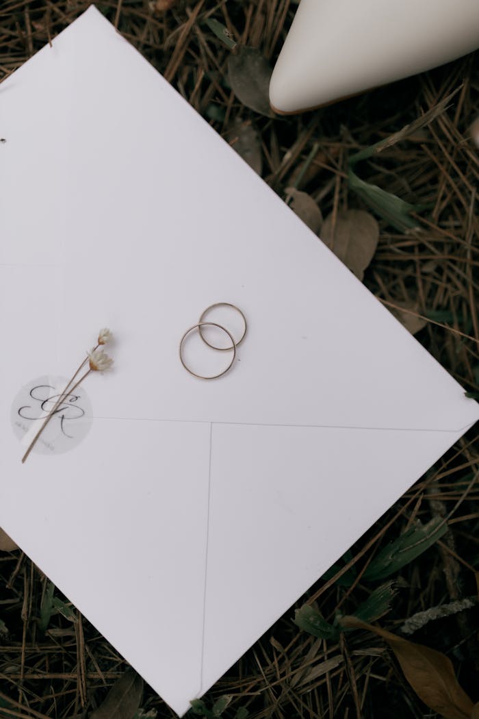 Close-up of wedding rings and invitation on grass. Perfect for wedding theme.